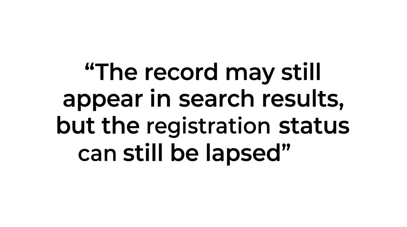 Quote graphic highlighting the warning that a visible LEI is not necessarily an active or current LEI.
