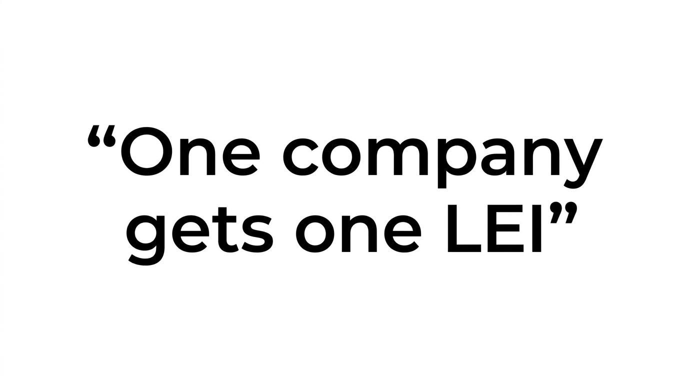 Highlighted quote stating that a single Irish company should have one LEI, and only one.